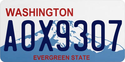 WA license plate AOX9307