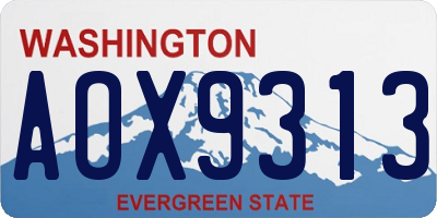 WA license plate AOX9313