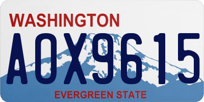 WA license plate AOX9615