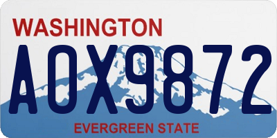 WA license plate AOX9872