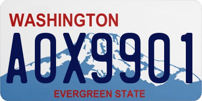WA license plate AOX9901