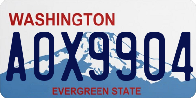 WA license plate AOX9904