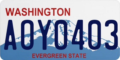 WA license plate AOY0403