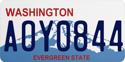 WA license plate AOY0844