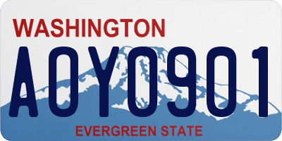 WA license plate AOY0901