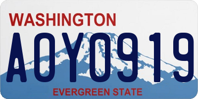 WA license plate AOY0919