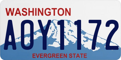 WA license plate AOY1172