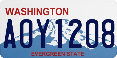 WA license plate AOY1208