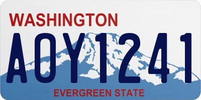 WA license plate AOY1241