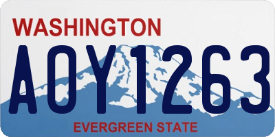 WA license plate AOY1263