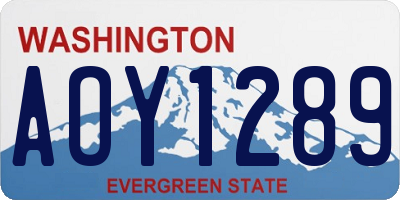 WA license plate AOY1289