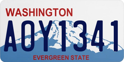 WA license plate AOY1341
