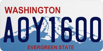 WA license plate AOY1600