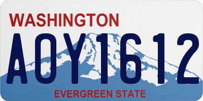 WA license plate AOY1612