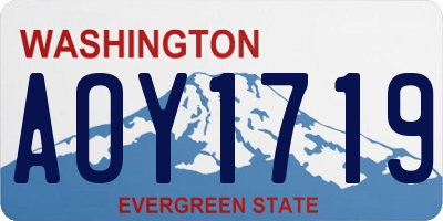 WA license plate AOY1719