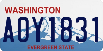 WA license plate AOY1831