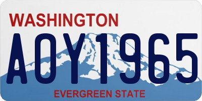 WA license plate AOY1965