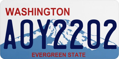 WA license plate AOY2202