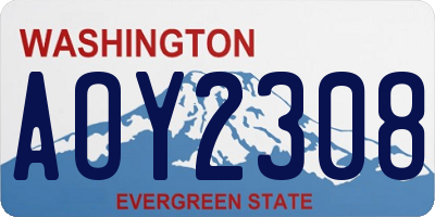 WA license plate AOY2308