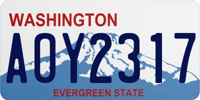 WA license plate AOY2317