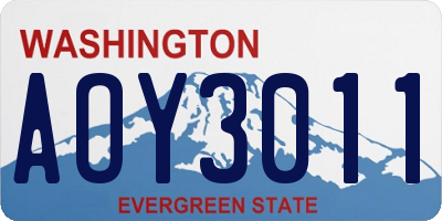 WA license plate AOY3011