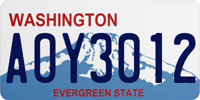 WA license plate AOY3012