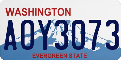 WA license plate AOY3073