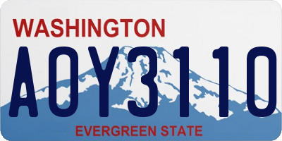 WA license plate AOY3110