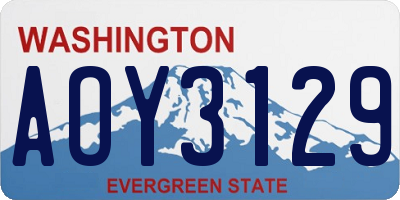 WA license plate AOY3129