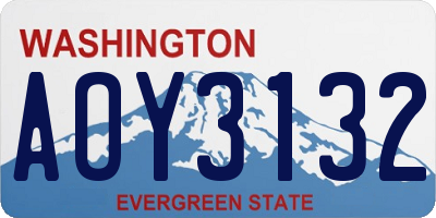 WA license plate AOY3132