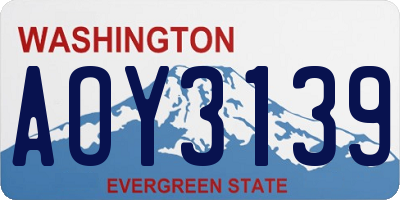 WA license plate AOY3139