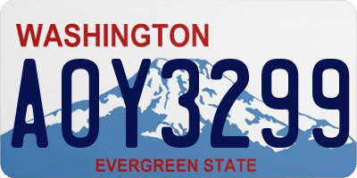 WA license plate AOY3299