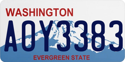 WA license plate AOY3383