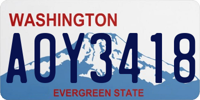 WA license plate AOY3418