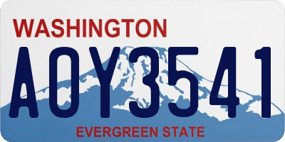 WA license plate AOY3541