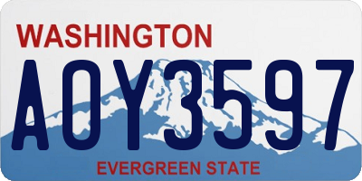 WA license plate AOY3597