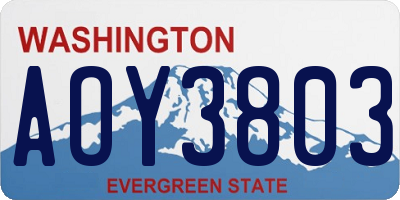WA license plate AOY3803