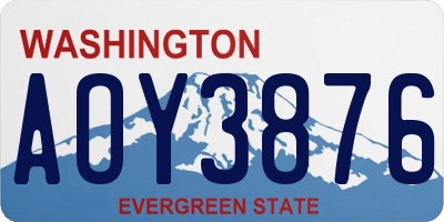 WA license plate AOY3876