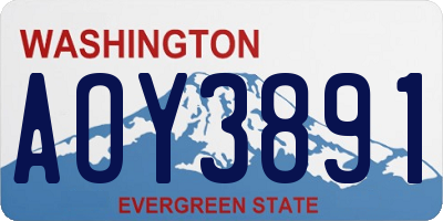 WA license plate AOY3891