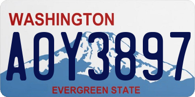 WA license plate AOY3897
