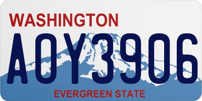 WA license plate AOY3906