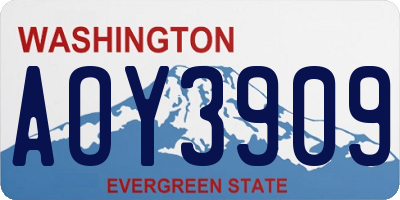 WA license plate AOY3909