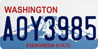 WA license plate AOY3985