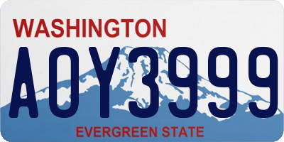 WA license plate AOY3999