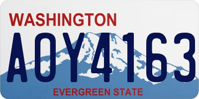 WA license plate AOY4163