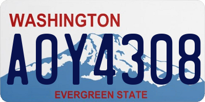 WA license plate AOY4308