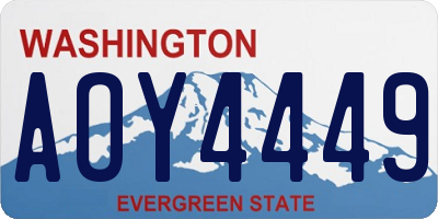 WA license plate AOY4449