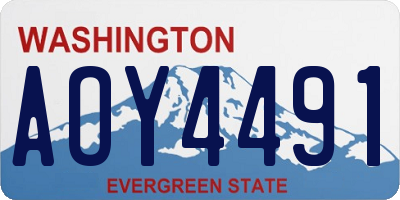WA license plate AOY4491