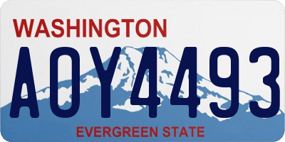 WA license plate AOY4493