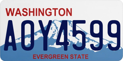 WA license plate AOY4599